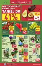Gazetka promocyjna Aldi - Oferta weekendowa - Gazetka - ważna od 21.03 do 21.03.2026 - strona 8 - produkty: Warzywa, Por, Hiacynt, Papryka, Truskawki, Warzywa i owoce, Stek, Cień, Winogrona, Szpic, Narcyz, Owoce, Dereń, Wino, Pomidory