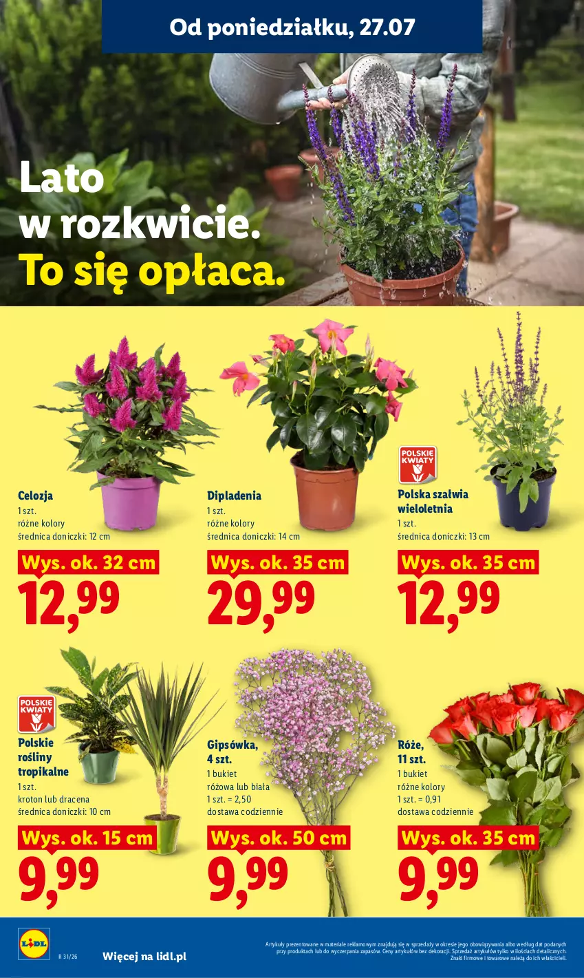 Gazetka promocyjna Lidl - Gazetka ważna od 27.07 do 29.07 - ważna 27.07 do 29.07.2026 - strona 92 - produkty: Bukiet