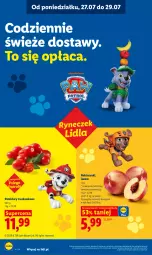 Gazetka promocyjna Lidl - Gazetka ważna od 27.07 do 29.07 - Gazetka - ważna od 29.07 do 29.07.2026 - strona 46 - produkty: Ser, Pomidory, Nektar