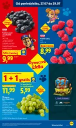 Gazetka promocyjna Lidl - Gazetka ważna od 27.07 do 29.07 - Gazetka - ważna od 29.07 do 29.07.2026 - strona 47 - produkty: Ser, Gra, Maliny, Winogrona, Wino