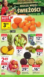 Gazetka promocyjna Intermarche - Gazetka Intermarche - Gazetka - ważna od 14.01 do 14.01.2026 - strona 10 - produkty: Borówka, Borówka amerykańska, Ananas, Chipsy, Kiwi, Owoce