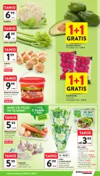 Gazetka promocyjna Intermarche - Gazetka Intermarche - Gazetka - ważna od 14.01 do 14.01.2026 - strona 11 - produkty: Cebula, Kalafior, Por, Gra, Pietruszka, Kolendra, Czosnek, Sałat, Avocado, Bazyl, Seler naciowy, Bazylia, Rzodkiewka, Mięta, Szpinak