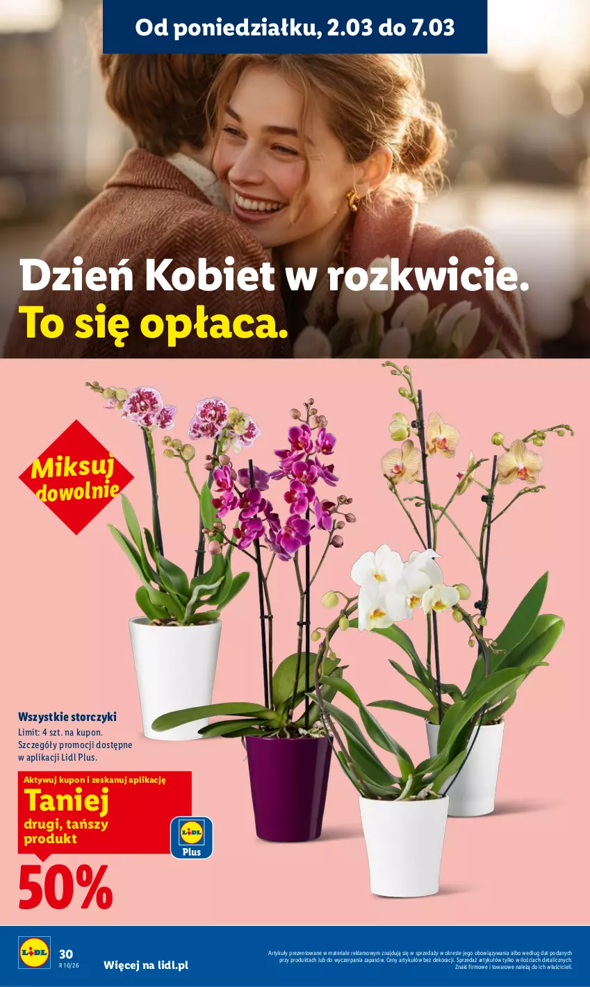 Gazetka promocyjna Lidl - Oferta ważna od 2.03 do 4.03 - ważna 02.03 do 04.03.2026 - strona 30 - produkty: Storczyk