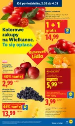 Gazetka promocyjna Lidl - Oferta ważna od 2.03 do 4.03 - Gazetka - ważna od 04.03 do 04.03.2026 - strona 25 - produkty: Mandarynki, Jonagold, Gra, Winogrona, Wino, Olej, Pomidory, Jabłka