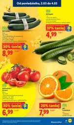 Gazetka promocyjna Lidl - Oferta ważna od 2.03 do 4.03 - Gazetka - ważna od 04.03 do 04.03.2026 - strona 27 - produkty: Pomarańcze, Pomidory