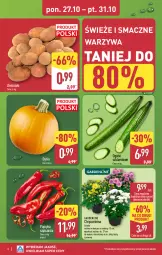 Gazetka promocyjna Aldi - Pełna oferta - Gazetka - ważna od 01.11 do 01.11.2025 - strona 2 - produkty: Warzywa, Sok, Chryzantema, Papryka, Ziemniaki, Szpic