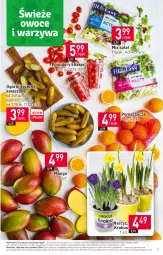 Gazetka promocyjna Stokrotka - Supermarket - Gazetka - ważna od 29.03 do 29.03.2023 - strona 3 - produkty: Warzywa, Pomarańcze, Siatka, Sałat, Narcyz, Owoce, Krokus, Mango, Pomidory, Mięso