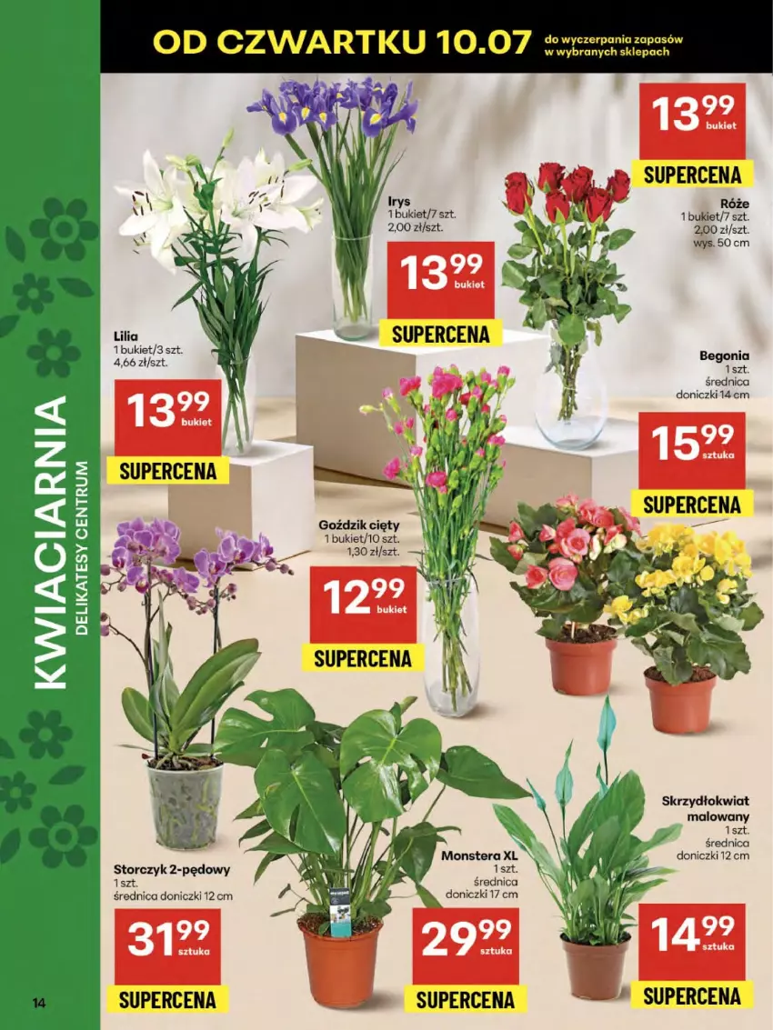 Gazetka promocyjna Delikatesy Centrum - Franczyza DC28 Czwartek - ważna 10.07 do 16.07.2025 - strona 14 - produkty: Bukiet, Storczyk, Tera