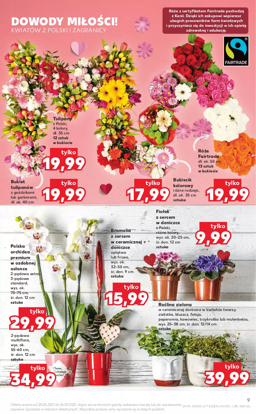 Gazetka promocyjna Kaufland - OFERTA TYGODNIA - ważna 20.05 do 26.05.2021 - strona 9 - produkty: Bromelia, Bukiet, Fa, Flora, Gerber, Gra, Mule, Ser, Tulipan