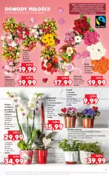 Gazetka promocyjna Kaufland - OFERTA TYGODNIA - Gazetka - ważna od 26.05 do 26.05.2021 - strona 9 - produkty: Ser, Gra, Gerber, Tulipan, Bromelia, Mule, Bukiet, Flora, Fa