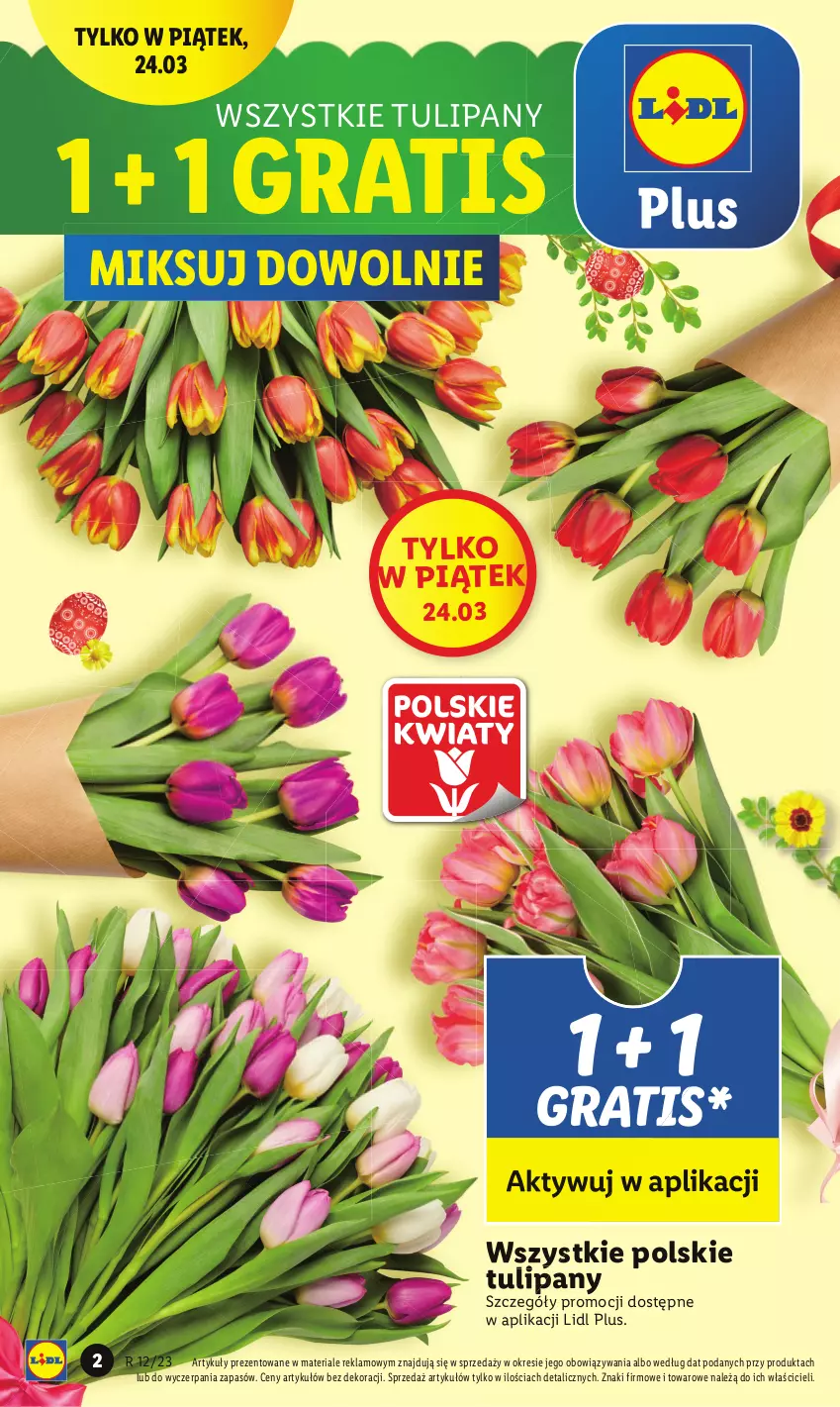 Gazetka promocyjna Lidl - GAZETKA - ważna 23.03 do 25.03.2023 - strona 2 - produkty: Fa, Gra, Tulipan