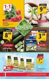 Gazetka promocyjna Arhelan - Gazetka - Gazetka - ważna od 22.03 do 22.03.2026 - strona 2 - produkty: Zupa, Rzodkiewka