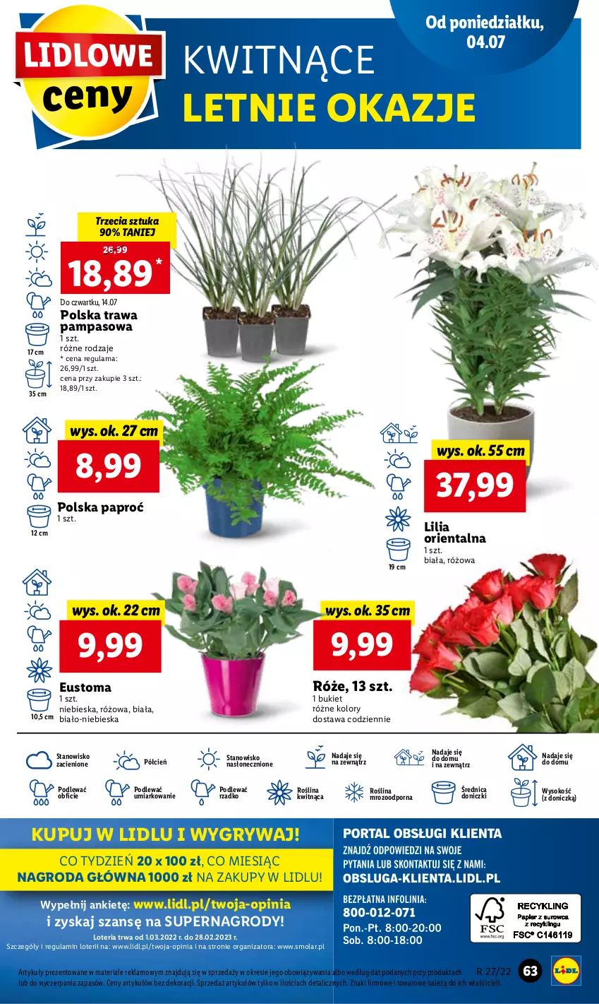 Gazetka promocyjna Lidl - GAZETKA - ważna 07.07 do 09.07.2022 - strona 63 - produkty: Bukiet, Cień, Gry, Mola, O nas, Por, Sok