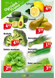 Gazetka promocyjna Prim Market - Gazetka - ważna od 17.04 do 17.04.2024 - strona 6 - produkty: Seler naciowy