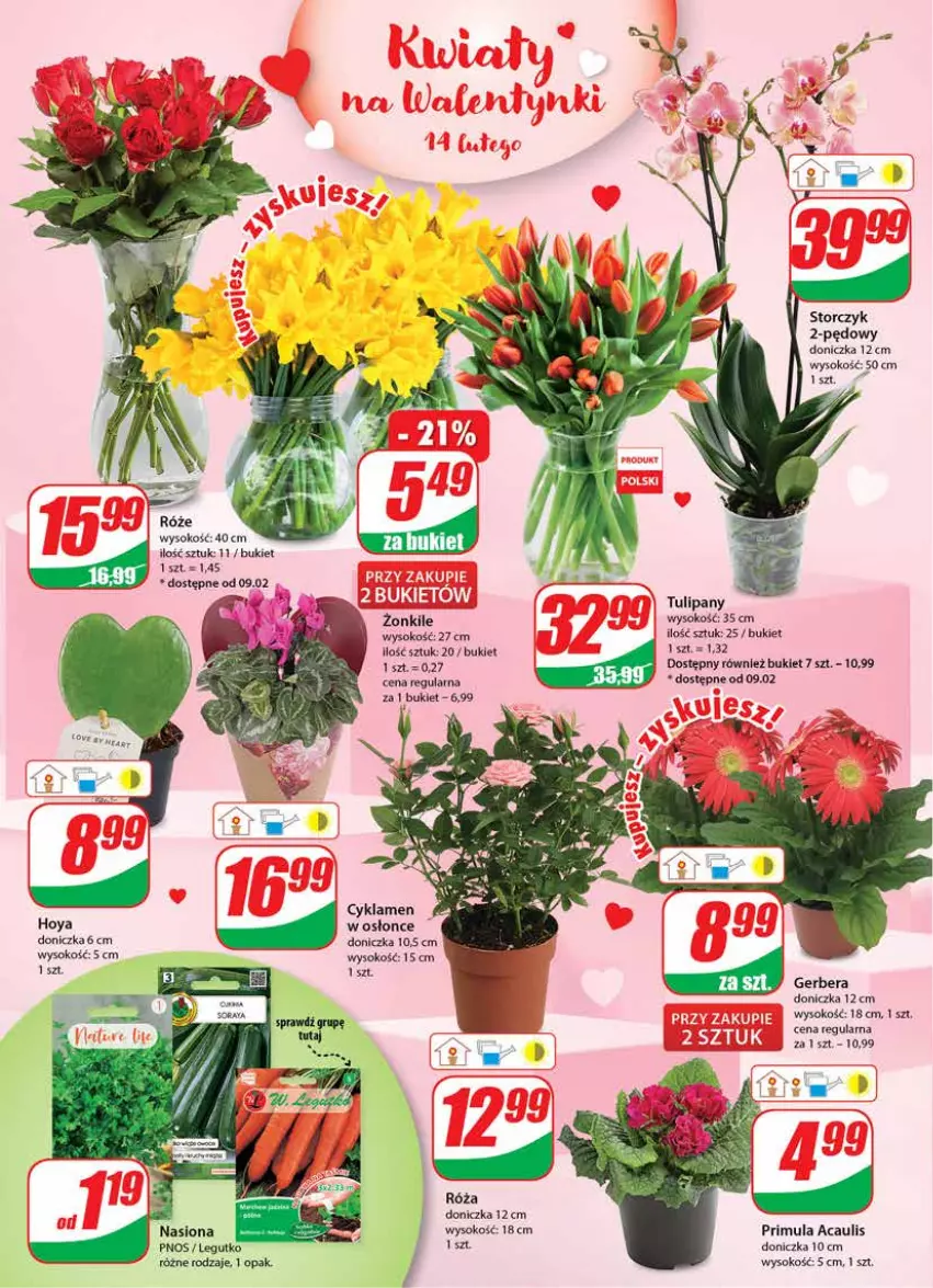 Gazetka promocyjna Dino - Gazetka - ważna 08.02 do 14.02.2023 - strona 22 - produkty: Bukiet, Cyklamen, Gerber, Primula, Róża, Sok, Storczyk, Tulipan