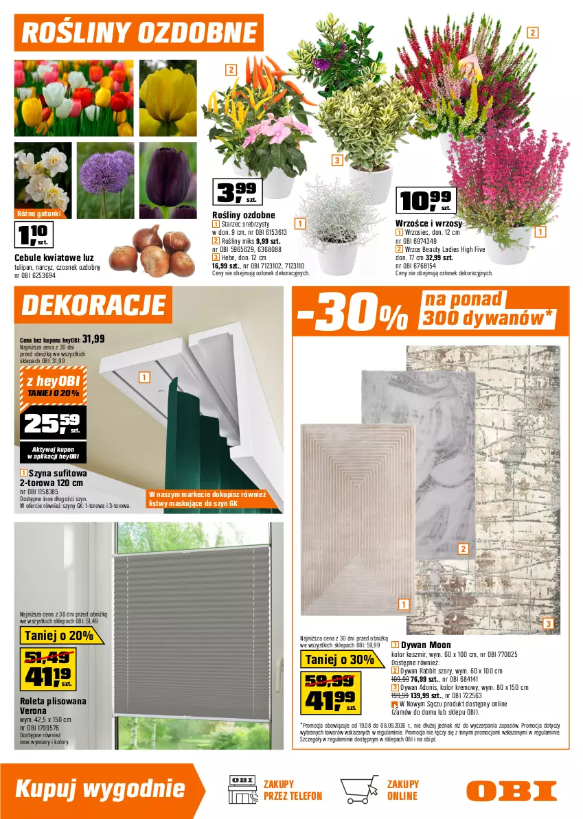 Gazetka promocyjna Obi - Gazetka OBI - ważna 19.08 do 08.09.2026 - strona 13 - produkty: Czosnek, Dywan, Intel, Lampa, Listwa, Narcyz, Naświetlacz, Naświetlacz LED, Perła, Reflektor, Roleta, Szyna, Szyny, Telefon, Tulipan