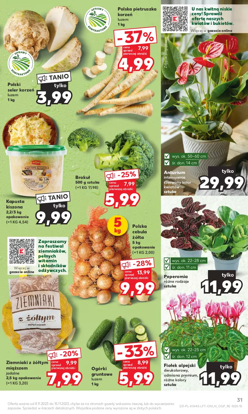 Gazetka promocyjna Kaufland - Gazetka tygodnia - ważna 08.11 do 15.11.2023 - strona 31 - produkty: Bukiet, Cebula, Grunt, Pietruszka, Seler korzeń, Ziemniaki