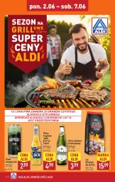 Gazetka promocyjna Aldi - Pełna oferta - Gazetka - ważna od 07.06 do 07.06.2025 - strona 10 - produkty: Piwa, Piwo, Gra, Karp, Grill, Captain Jack