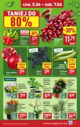 Gazetka promocyjna Aldi - Pełna oferta - Gazetka - ważna od 07.06 do 07.06.2025 - strona 29 - produkty: Sok, Koc, Gra, Papryka, Granat, Jeżyny, Palma, Storczyk, Winogrona, Wino, Grill