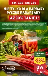 Gazetka promocyjna Aldi - Pełna oferta - Gazetka - ważna od 07.06 do 07.06.2025 - strona 4 - produkty: Pierogi, Koc, Inka, Tera, Sałat, Fa