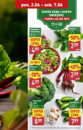 Gazetka promocyjna Aldi - Pełna oferta - Gazetka - ważna od 07.06 do 07.06.2025 - strona 5 - produkty: Inka, Sałat, Mieszanka sałat, Szpinak