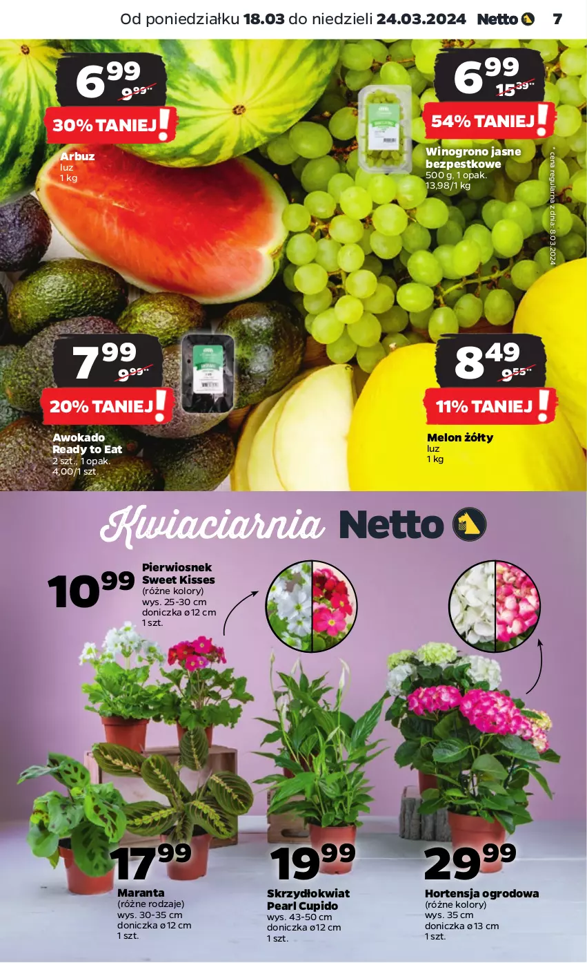 Gazetka promocyjna Netto - Artykuły spożywcze - ważna 18.03 do 24.03.2024 - strona 7 - produkty: Arbuz, Melon, Wino