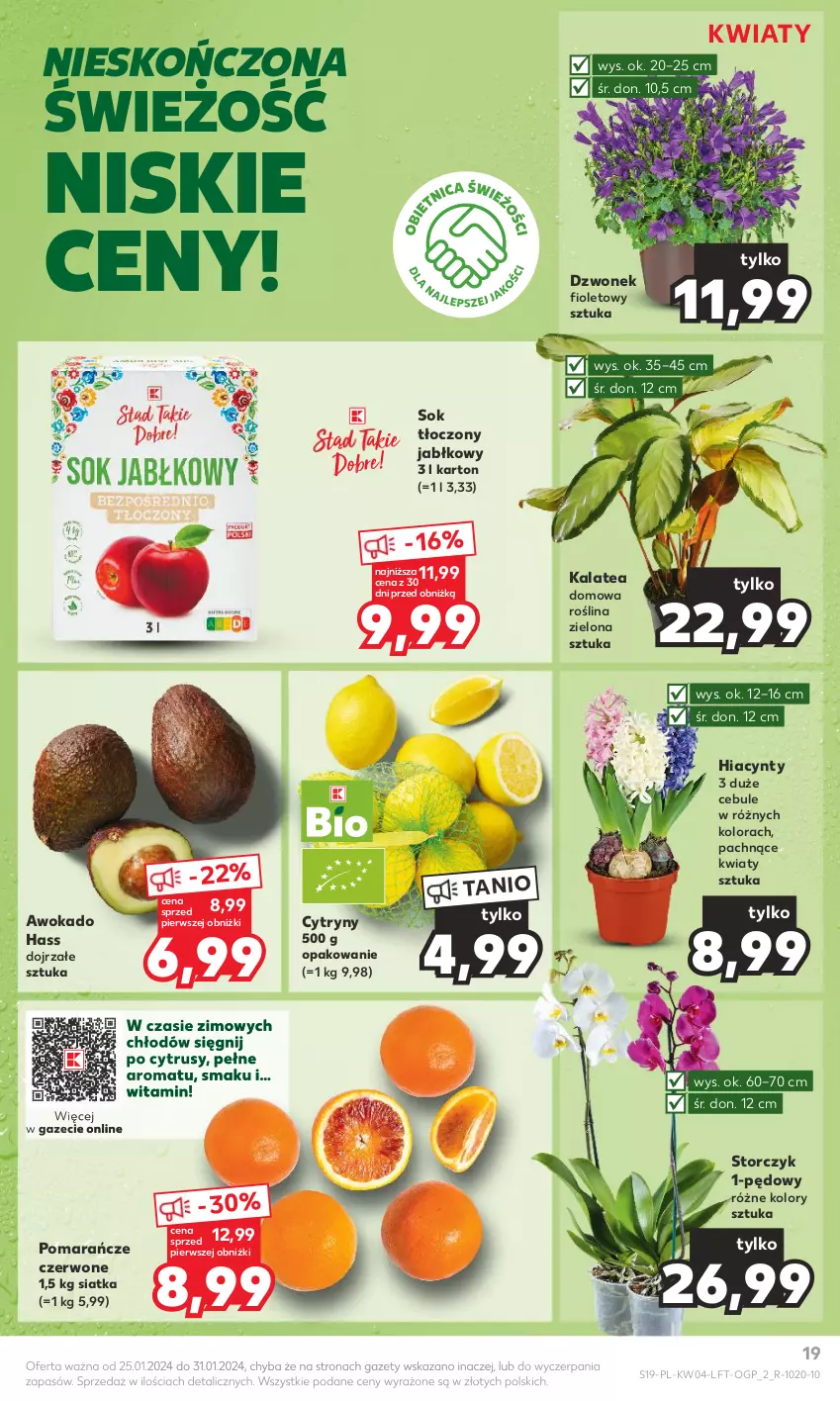 Gazetka promocyjna Kaufland - Gazetka tygodnia - ważna 25.01 do 31.01.2024 - strona 19 - produkty: Cytryny, Dzwonek, Hiacynt, Pomarańcze, Siatka, Sok, Storczyk