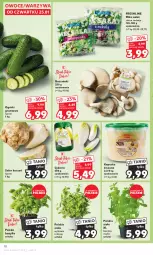 Gazetka promocyjna Kaufland - Gazetka tygodnia - Gazetka - ważna od 31.01 do 31.01.2024 - strona 18 - produkty: Warzywa, Seler korzeń, Sałat, Bazyl, Owoce, Bazylia, Grunt, Mięta, Boczniak