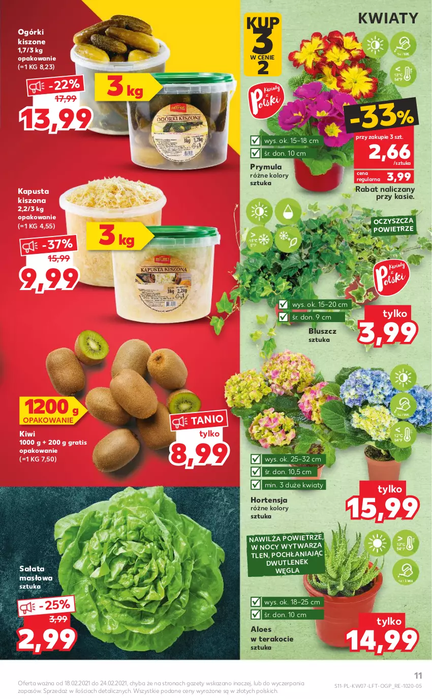 Gazetka promocyjna Kaufland - OFERTA TYGODNIA - ważna 18.02 do 24.02.2021 - strona 11 - produkty: Gra, Kiwi, Koc, Masło, Prymula, Sałat, Sałata masłowa, Tera