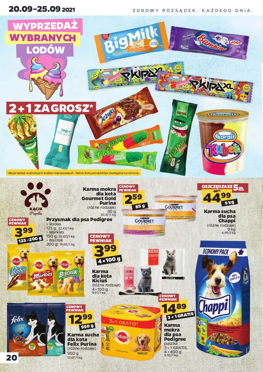 Gazetka promocyjna Netto - Gazetka spożywcza - ważna 20.09 do 25.09.2021 - strona 20 - produkty: Chappi, Felix, Gourmet Gold, Gra, Pedigree, Przysmak dla psa, Pur, Purina