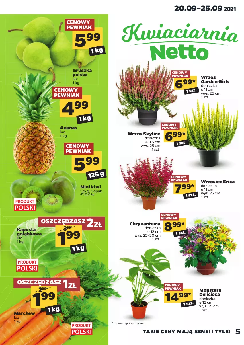 Gazetka promocyjna Netto - Gazetka spożywcza - ważna 20.09 do 25.09.2021 - strona 5 - produkty: Ananas, Chryzantema, Kiwi, Tera