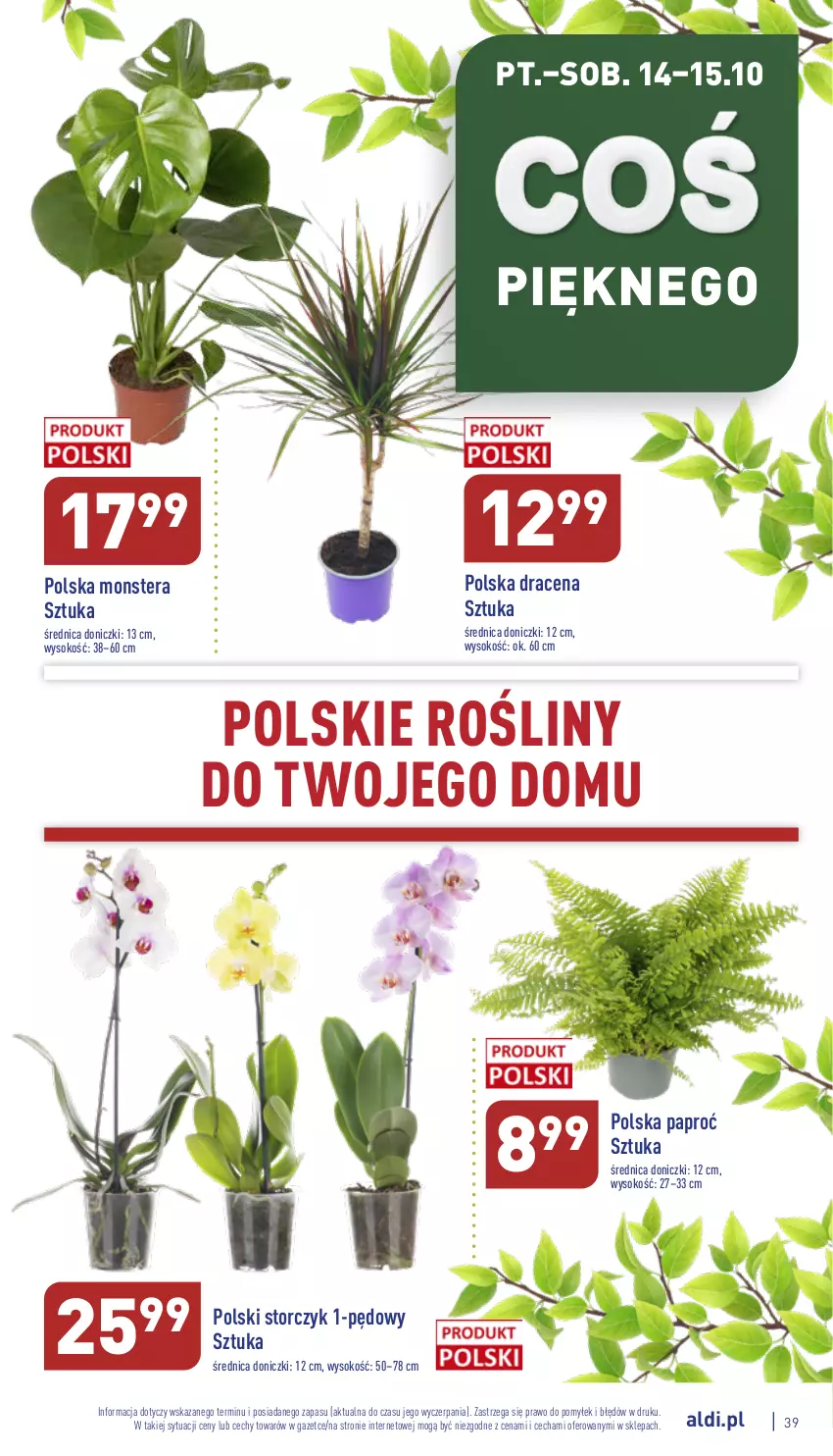 Gazetka promocyjna Aldi - Pełny katalog - ważna 10.10 do 15.10.2022 - strona 39 - produkty: Sok, Storczyk, Tera