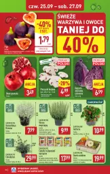 Gazetka promocyjna Aldi - Pełna oferta - Gazetka - ważna od 27.09 do 27.09.2025 - strona 32 - produkty: Piec, Warzywa, Sok, Gra, Tulipan, Granat, Warzywa i owoce, Kosz, Narcyz, Pieczarki krojone, Owoce, Fa