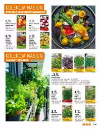 Gazetka promocyjna Obi - Gazetka OBI - Gazetka - ważna od 30.09 do 30.09.2026 - strona 109 - produkty: Pieprz, Bazyl, Gaga, Ogród