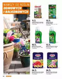 Gazetka promocyjna Obi - Gazetka OBI - Gazetka - ważna od 30.09 do 30.09.2026 - strona 168 - produkty: Surf, Storczyk, Nawóz