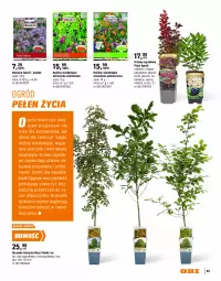 Gazetka promocyjna Obi - Gazetka OBI - Gazetka - ważna od 30.09 do 30.09.2026 - strona 95 - produkty: Piec, Gra, Aronia, Ogród, Intel, Fa