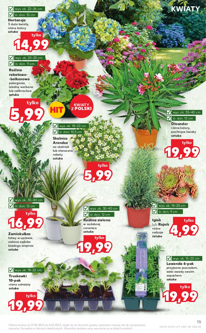 Gazetka promocyjna Kaufland - OFERTA TYGODNIA - ważna 27.04 do 04.05.2022 - strona 15 - produkty: Ozdoba, Truskawki