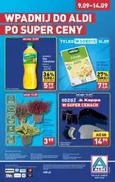 Gazetka promocyjna Aldi - Pełna oferta - Gazetka - ważna od 14.09 do 14.09.2024 - strona 36 - produkty: Kujawski, Sok, Ser, Por, Hofburger, O nas, Burger, Olej rzepakowy, Biuro, Gouda, Olej