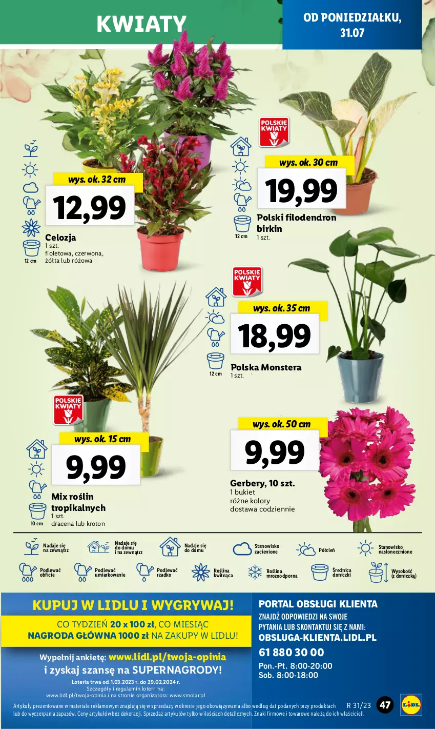 Gazetka promocyjna Lidl - GAZETKA - ważna 31.07 do 05.08.2023 - strona 59 - produkty: Bukiet, Cień, Dron, Gerber, Gry, Mola, O nas, Por, Sok, Tera