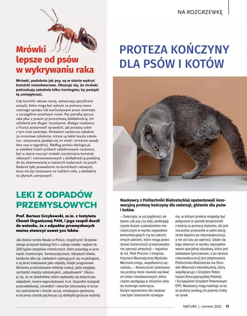 Gazetka promocyjna Drogerie Natura - Gazetka Drogerie Natura - ważna 01.06 do 30.06.2022 - strona 11 - produkty: Fa, Gra, Intel, Kosz, Miód, Por, Portal, Ser, Stock, Tera, Zwierzęta