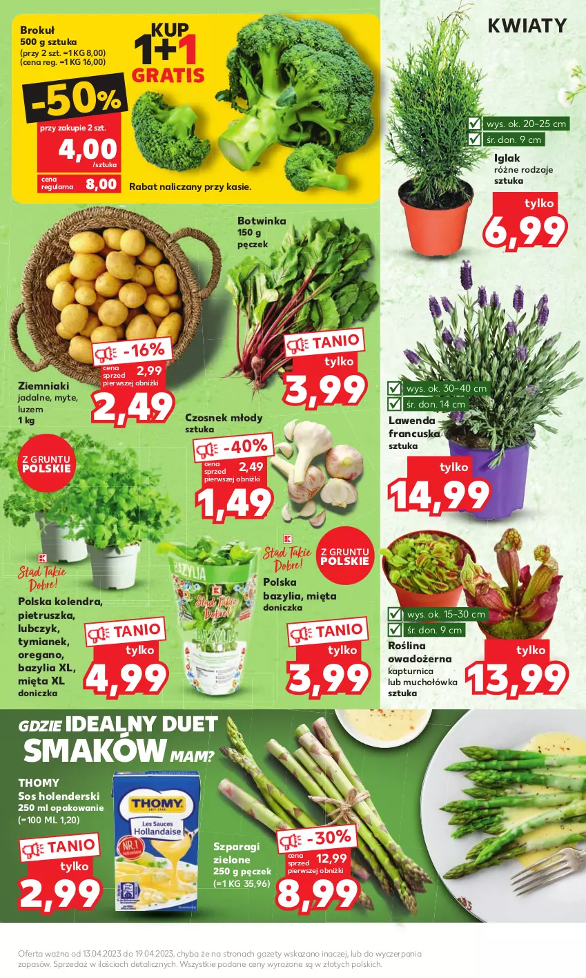 Gazetka promocyjna Kaufland - MOCNY START - ważna 17.04 do 19.04.2023 - strona 7 - produkty: Bazyl, Bazylia, Czosnek, Gra, Grunt, Inka, Kolendra, Mięta, Pietruszka, Sos, Ziemniaki