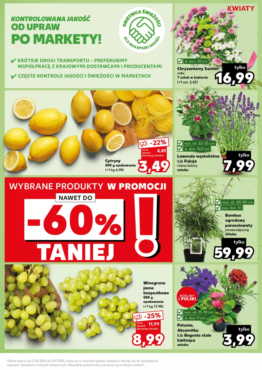 Gazetka promocyjna Kaufland - Kaufland - ważna 01.07 do 03.07.2024 - strona 9 - produkty: Aksam, Cytryny, Parasol, Por, Sport, Tran, Wino, Winogrona