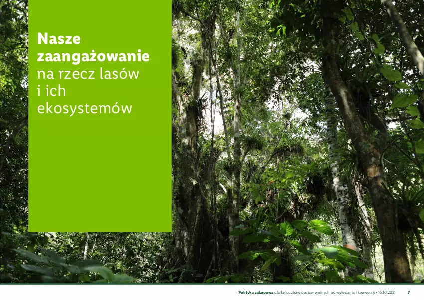 Gazetka promocyjna Lidl - Polityka zakupowa łańcuchów dostaw - ważna 15.10.2021 do 31.12.2030 - strona 8