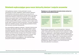 Gazetka promocyjna Lidl - Polityka zakupowa łańcuchów dostaw - Gazetka - ważna od 31.12 do 31.12.2030 - strona 21 - produkty: Piec, Por, Gra, Rama, Woda, Obraz