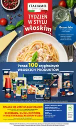 Gazetka promocyjna Lidl - GAZETKA - Gazetka - ważna od 20.04 do 20.04.2024 - strona 45 - produkty: Por, Gin, Gra, Portal, Pizza, Pieprz, Wędlina, Mola