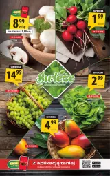 Gazetka promocyjna Arhelan - Gazetka - Gazetka - ważna od 17.05 do 17.05.2026 - strona 2 - produkty: Sałat, Rzodkiewka