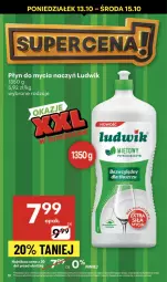 Gazetka promocyjna Delikatesy Centrum - Franczyza DC41 Czwartek - Gazetka - ważna od 15.10 do 15.10.2025 - strona 19 - produkty: Ludwik, Rum, Do mycia naczyń, Płyn do mycia naczyń, Płyn do mycia