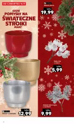 Gazetka promocyjna Kaufland - Kaufland - Gazetka - ważna od 23.12 do 23.12.2023 - strona 18 - produkty: Róża, Dzika róża, Osłonka