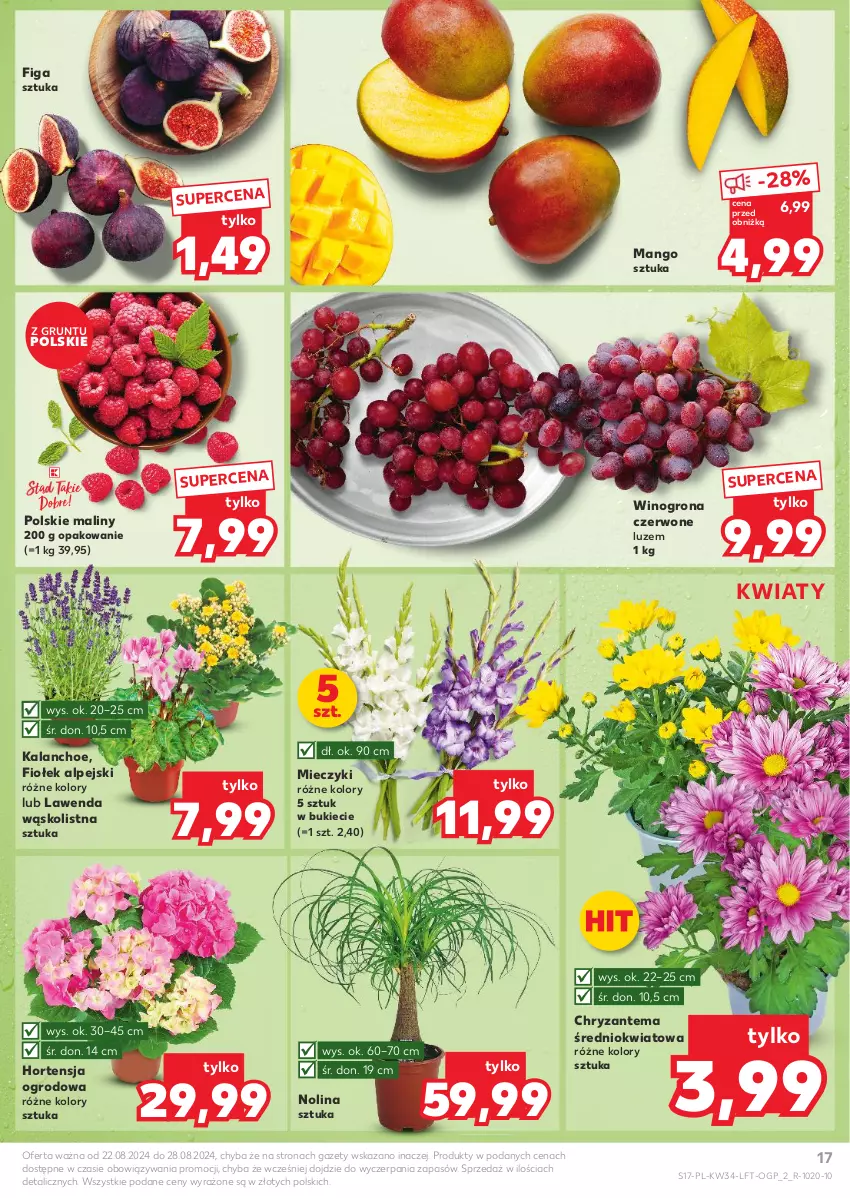 Gazetka promocyjna Kaufland - Gazetka tygodnia - ważna 22.08 do 28.08.2024 - strona 17 - produkty: Chryzantema, Grunt, Kalanchoe, Maliny, Mango, Miecz, Wino, Winogrona