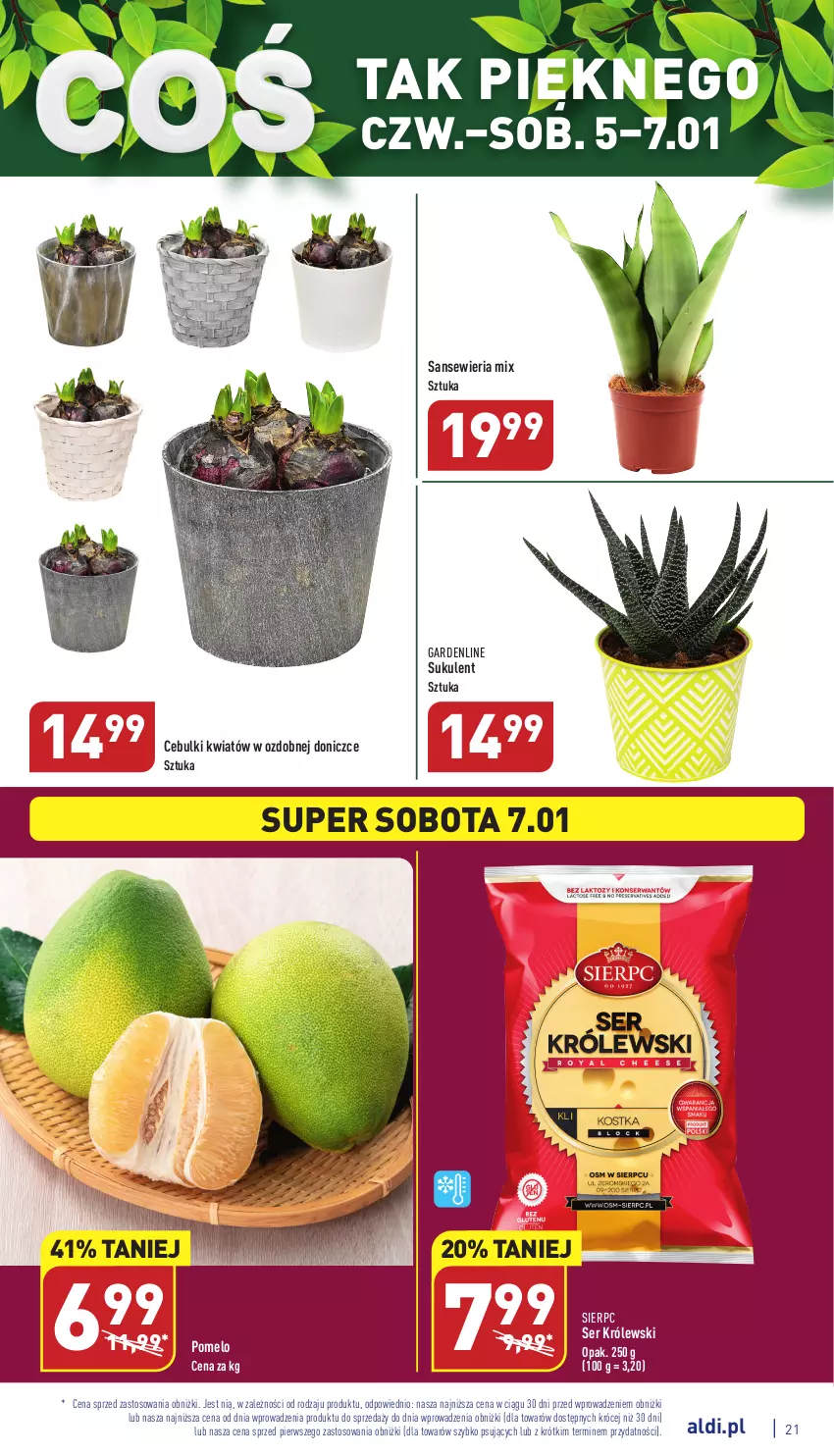 Gazetka promocyjna Aldi - Pełny katalog - ważna 02.01 do 07.01.2022 - strona 21 - produkty: Królewski, Pomelo, Ser, Sukulent